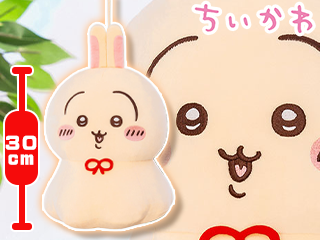 Prize 1